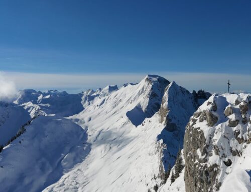 Wild auf Schnee – Gustispitz Chrummfadeflue 2080 m 07.12.